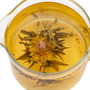 Royal Rose Green Tea ( Teekukka )