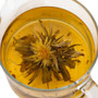 Marigold Silvery stage ( Teekukka )