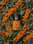 LAKRIDS BY BÜLOW - SEA BUCKTHORN