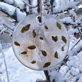 ❄️ JÄÄ TAIDETTA TEENLEHDISTÄ ❄️