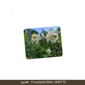 Hiirimatto 190x230 mm