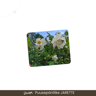 Hiirimatto 190x230 mm