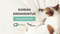 Eroahdistuksen Hoidon Kouluttajakoulutus 2026