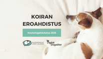 Kouluttajakoulutus