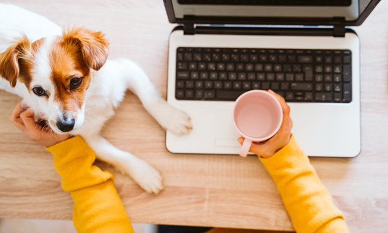 Eroahdistuskoulutuksen seurantapaketti, 4 viikkoa