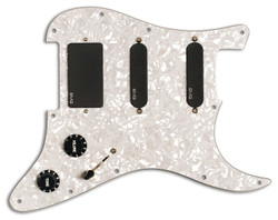 Kirk Hammett Signature Set (new)