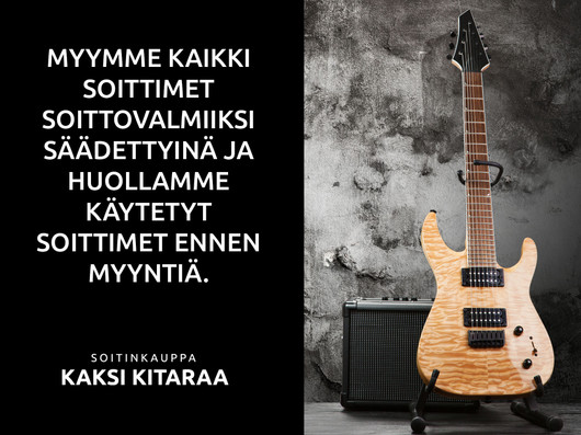 Tanglewood TWD STE Natural elektroakustinen kitara (uusi)
