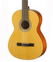 Walden N350W Classical Guitar (new)