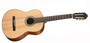 Walden N550EW klassinen elektroakustinen kitara + gig bag (uusi)