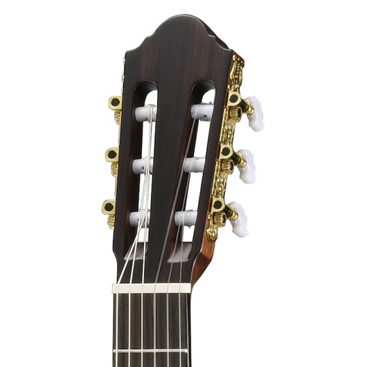 Walden N550EW klassinen elektroakustinen kitara + gig bag (uusi)