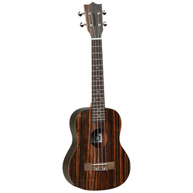 Tanglewood TWT19 Natural Satin tenoriukulele (uusi)