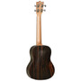 Tanglewood TWT19 Natural Satin tenoriukulele (uusi)