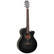 Tanglewood Blackbird TWBB SFCE Electric-Acoustic (new)