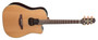 Takamine GB7C Garth Brooks elektroakustinen kitara + Softcase (uusi)