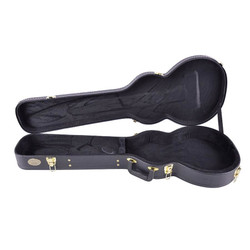 Boston CEG-100-SA Hard Case (new)