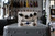 Majik Box Paul Gilbert Fuzz Universe Custom - FU-2C (Used)