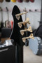Aria RSB DeLuxe 1984 - Black/Gold sähköbasso + gig bag (käytetty)