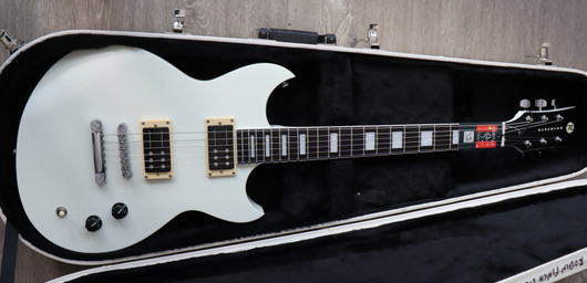 Reverend Robin Finck Signature + kova laukku (käytetty)