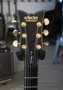 Schecter Dan Donegan Ultra Electric Guitar, Satin Black (used)