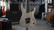 Manninen Custom Multi-Scale 7 2022 Electric Guitar (used)