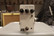 JHS Pedals 3 Series Hall Reverb Effects Pedal (Used)