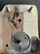 Fender Stratocaster 1973 Olympic White + kova laukku (käytetty)