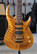 GAS Guitarworks Razor 2023 + Case (used)