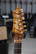 GAS Guitarworks Razor 2023 + Case (used)