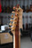 GAS Guitarworks Razor 2023 + Case (used)