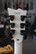 ESP E-II Eclipse Snow White Satin 2025 + case (used)