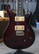 PRS 25th Anniversary Custom 24 10-Top Angry Larry (used)