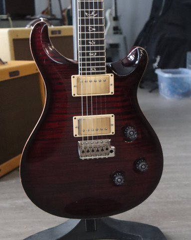 PRS 25th Anniversary Custom 24 10-Top Angry Larry (used)