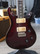 PRS 25th Anniversary Custom 24 10-Top Angry Larry (used)