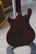 PRS 25th Anniversary Custom 24 10-Top Angry Larry (used)