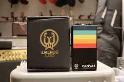 Walrus Audio Canvas Stereo DI Boksi (käytetty)