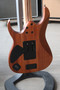 Ibanez RG6PKAG-NTF Premium -sähkökitara, Natural Flat 2020 (käytetty)