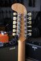 Fender Shenandoah 1960's Antigua akustinen + kova laukku (käytetty)