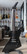 Gibson X-plorer New Century 2007 +  kova laukku (käytetty)