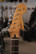 Fender California Stratocaster 1998 RW BSB + kova laukku (käytetty)