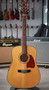 Ibanez Artwood Series AW-50 Acoustic Dreadnought (käytetty)