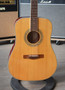 Samick Greg Bennett Design D5 vasenkätinen Acoustic (käytetty)