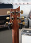 PRS Custom 24 Wood Library 2018 sähkökitara (käytetty)