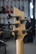 Schecter C-5 SGR Black 5-kielinen basso (käytetty)