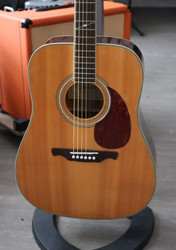 Alvarez AD-60S N Acoustic/Electric Dreadnought Guitar + gig bag (used)