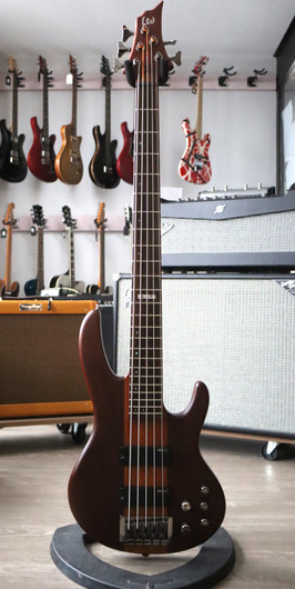 ESP LTD D-5 Natural Satin sähköbasso 2015 (käytetty)
