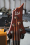 ESP LTD D-5 Natural Satin sähköbasso 2015 (käytetty)