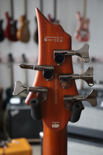 ESP LTD D-5 Natural Satin sähköbasso 2015 (käytetty)