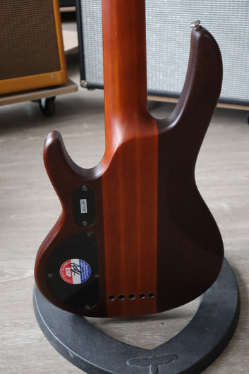 ESP LTD D-5 Natural Satin sähköbasso 2015 (käytetty)