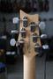 PRS SE Silver Sky Dandy Lion 2025 sähkökitara + gig bag (käytetty)