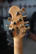 Musicman Silhouette Gold Roller BFR 2009 Lucky Gold + kova laukku (käytetty)
